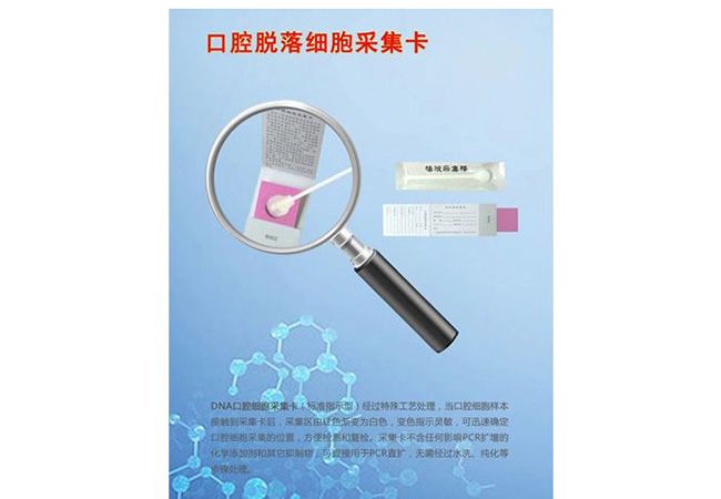 口腔脫落細(xì)胞采集卡